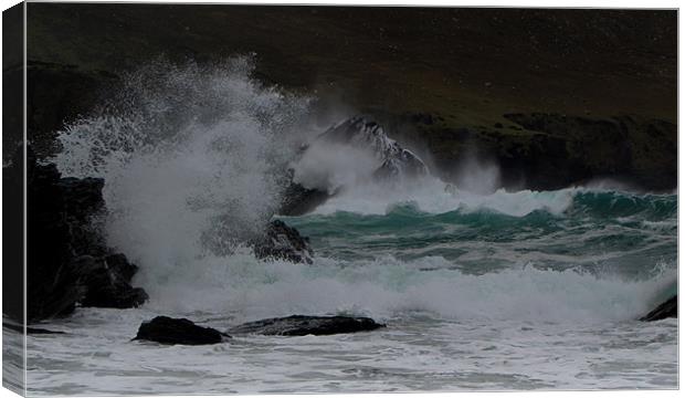 Waves Canvas Print by barbara walsh