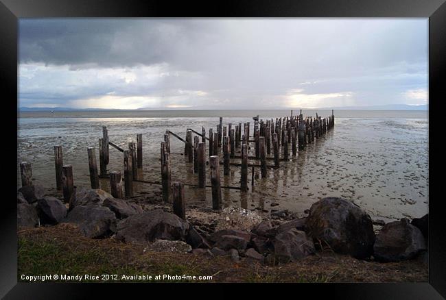 Delapidated jetty NZ Framed Print by Mandy Rice