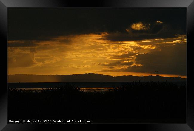 Sunset in Thames Framed Print by Mandy Rice