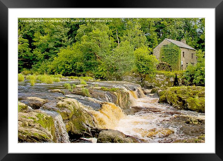 Cenarth Falls and Mill Framed Mounted Print by Anthony Hedger