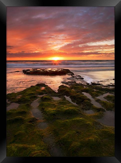 California Sunset  Framed Print by Mike Dawson