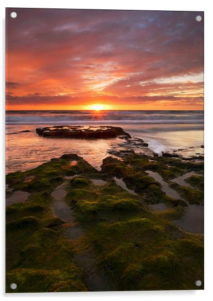 California Sunset  Acrylic by Mike Dawson