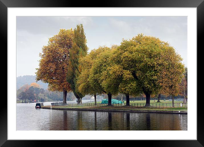 Thames at Henley Framed Mounted Print by Tony Bates