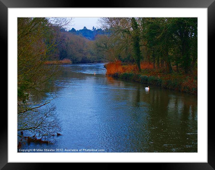 Lonely Swan Framed Mounted Print by Mike Streeter
