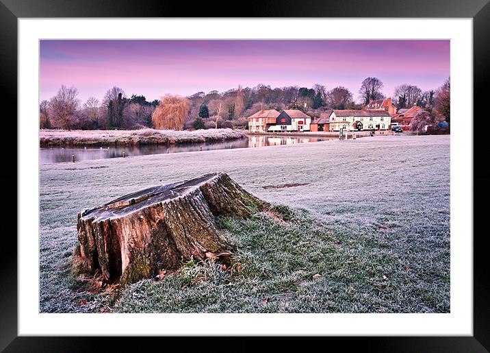 Tree Stump at dawn Framed Mounted Print by Stephen Mole