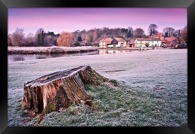 Tree Stump at dawn Framed Print by Stephen Mole
