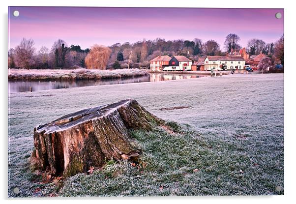 Tree Stump at dawn Acrylic by Stephen Mole