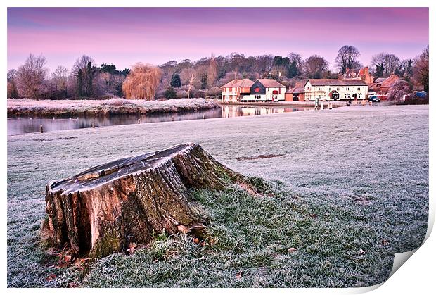Tree Stump at dawn Print by Stephen Mole