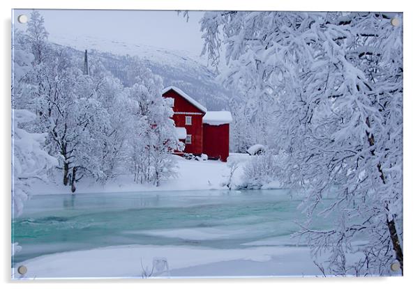 Norway In Winter Acrylic by stephanie eleftheriou