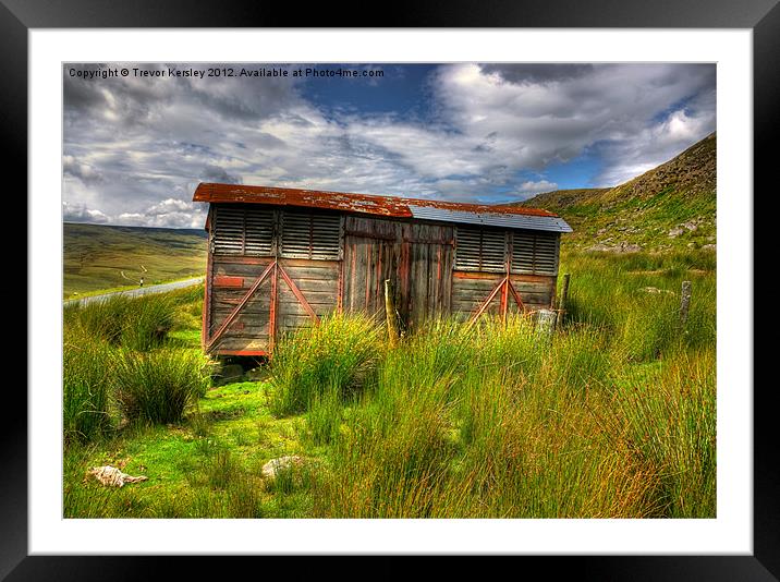 Swaledale Storage Units Framed Mounted Print by Trevor Kersley RIP