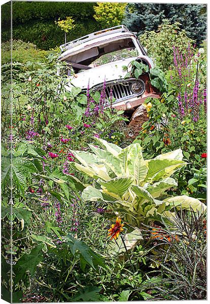 A Rustic French Garden Display Canvas Print by Graham Parry