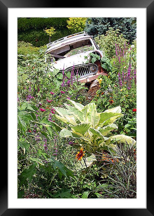 A Rustic French Garden Display Framed Mounted Print by Graham Parry