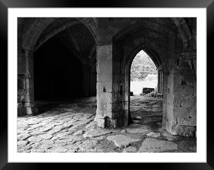 Roche Abbey Framed Mounted Print by Mark Hobson