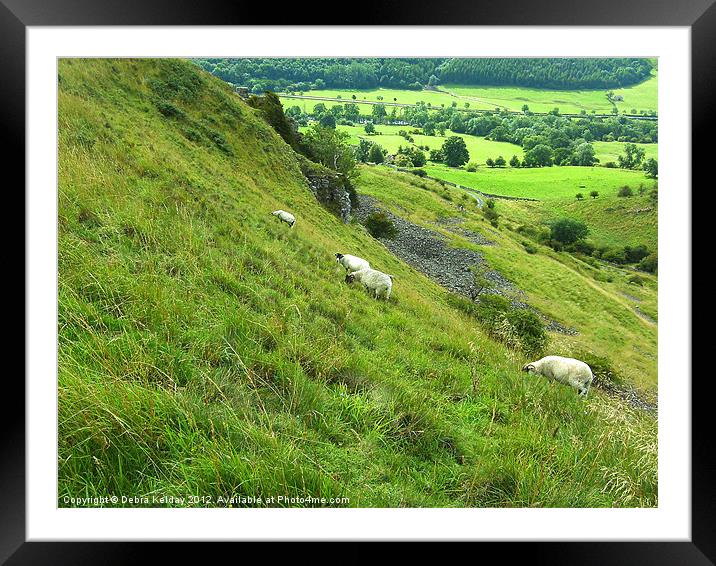 Swaledale Framed Mounted Print by Debra Kelday