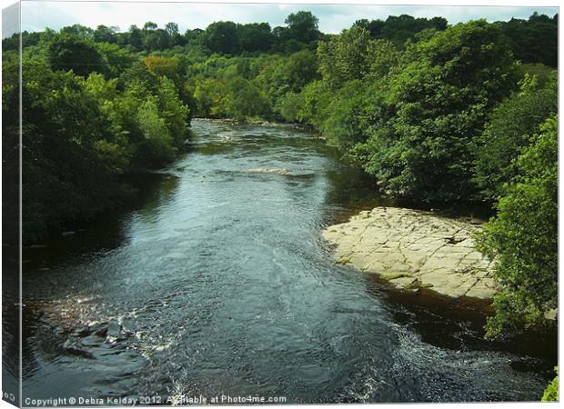 River Swale Canvas Print by Debra Kelday