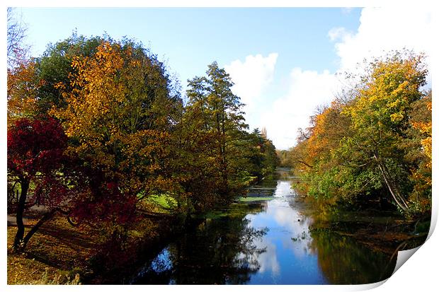 AUTUMN RIVER Print by David Atkinson