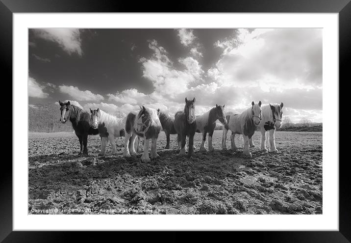 The Magnificent Seven Framed Mounted Print by Ian Collins