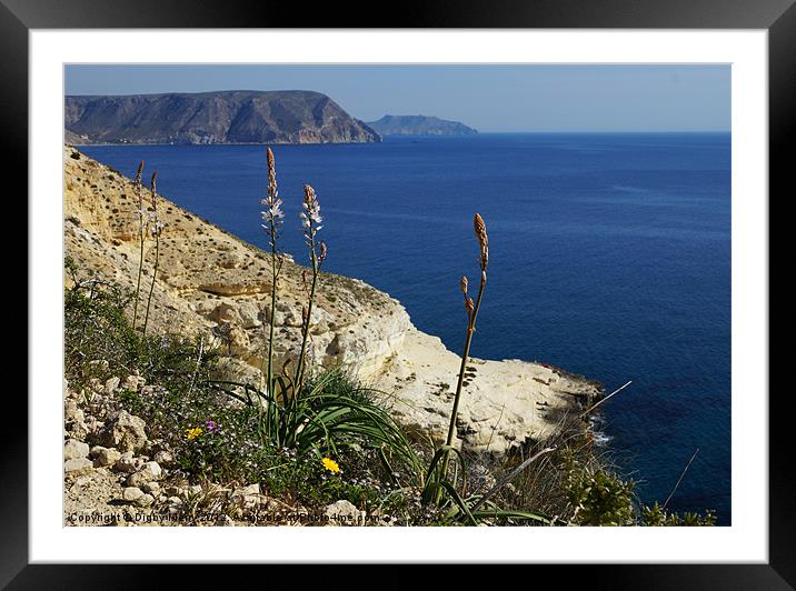 Cliffs with asphodels Framed Mounted Print by Digby Merry