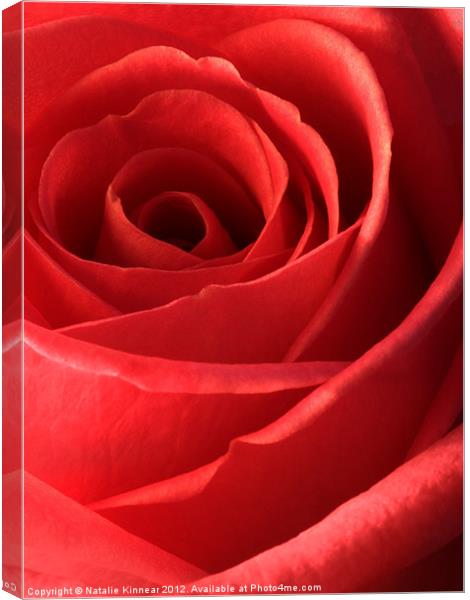 Romantic Red Rose Canvas Print by Natalie Kinnear