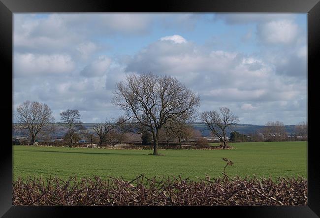 Field in East Yorkshire Revisited Framed Print by andrew hall