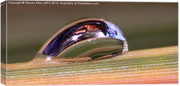 Water Droplet Canvas Print by Steven Else ARPS