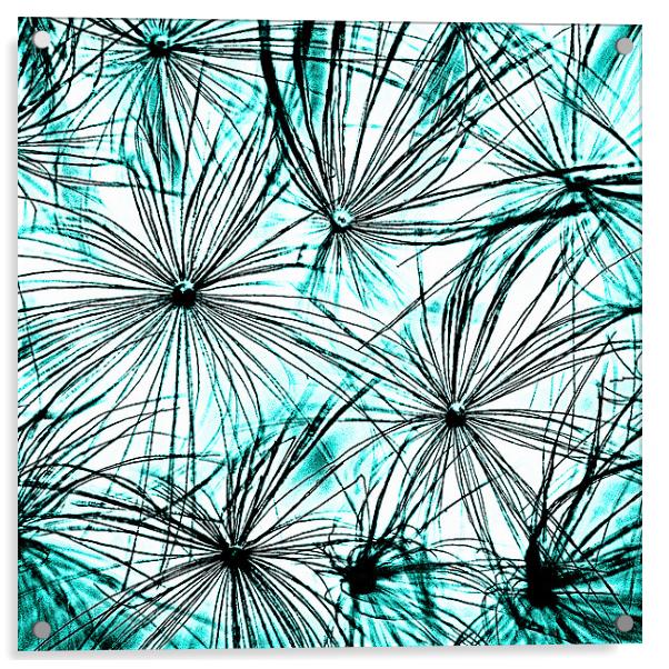 Dandelion Blue tones. Acrylic by Rosanna Zavanaiu
