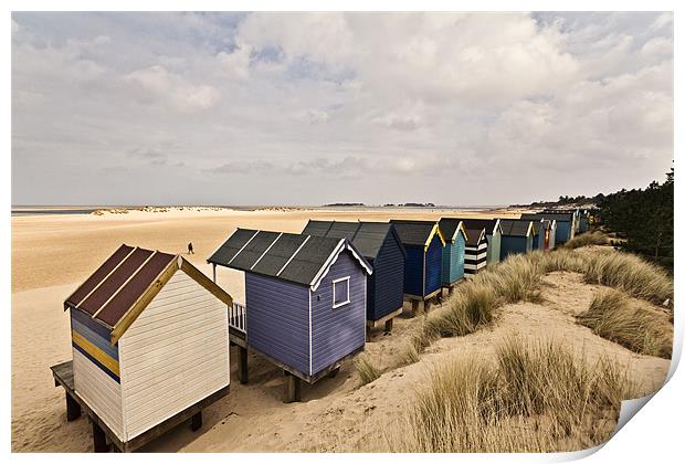 Wells Beach Huts from Behind Print by Paul Macro