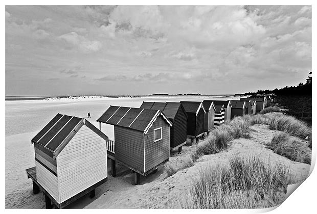 Wells Beach Huts from Behind Mono Print by Paul Macro