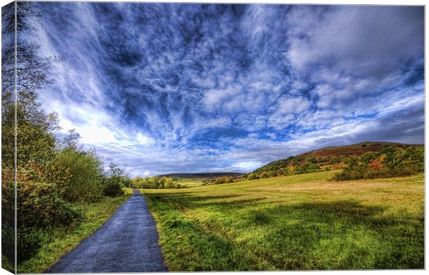 Dare Valley Country Park Canvas Print by Steve Purnell
