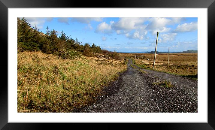 Road back to Cloghane Framed Mounted Print by barbara walsh
