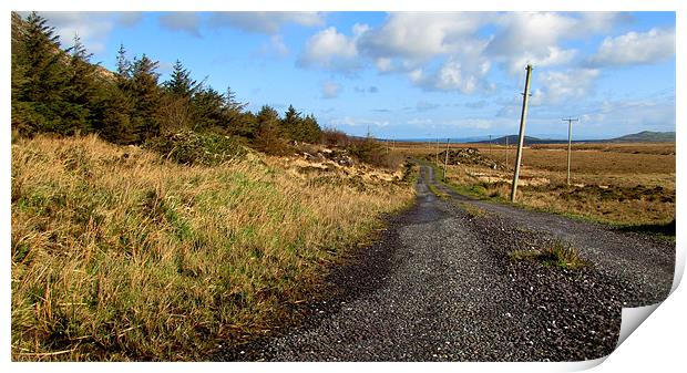 Road back to Cloghane Print by barbara walsh