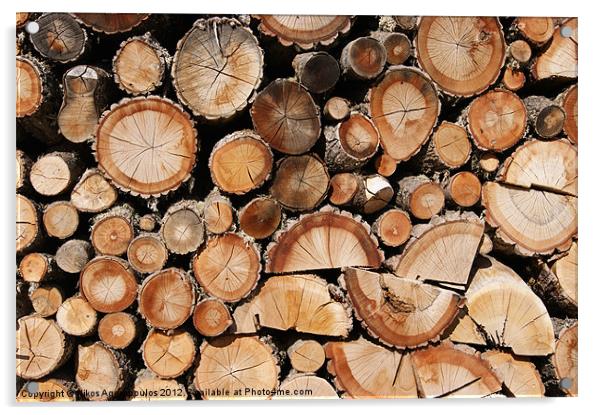 Logs stock Acrylic by Alfani Photography
