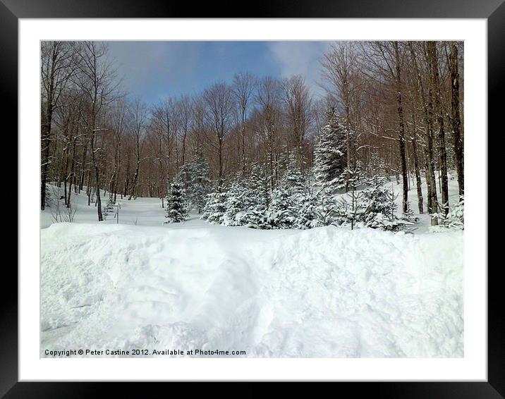 The Morning After Framed Mounted Print by Peter Castine