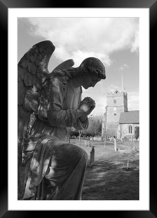 Bowing Angel Framed Mounted Print by Adrian Wilkins