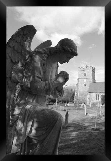 Bowing Angel Framed Print by Adrian Wilkins