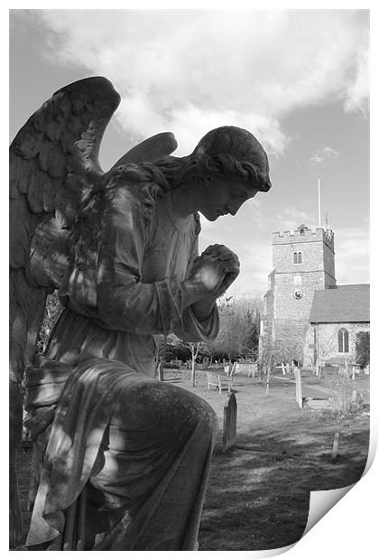 Bowing Angel Print by Adrian Wilkins