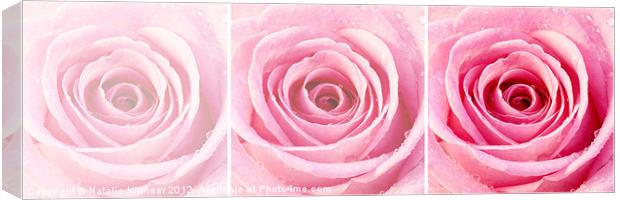 Pink Rose Triptych Canvas Print by Natalie Kinnear