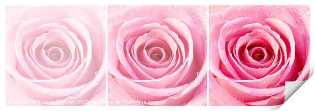 Pink Rose Triptych Print by Natalie Kinnear