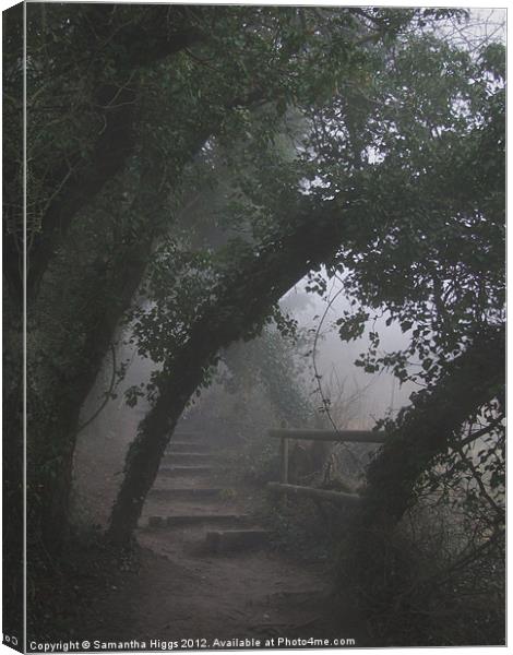 Mysterious Path Canvas Print by Samantha Higgs