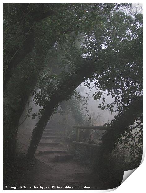 Mysterious Path Print by Samantha Higgs