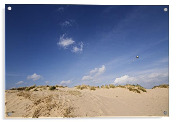 Lets Go Fly a Kite Acrylic by Paul Macro