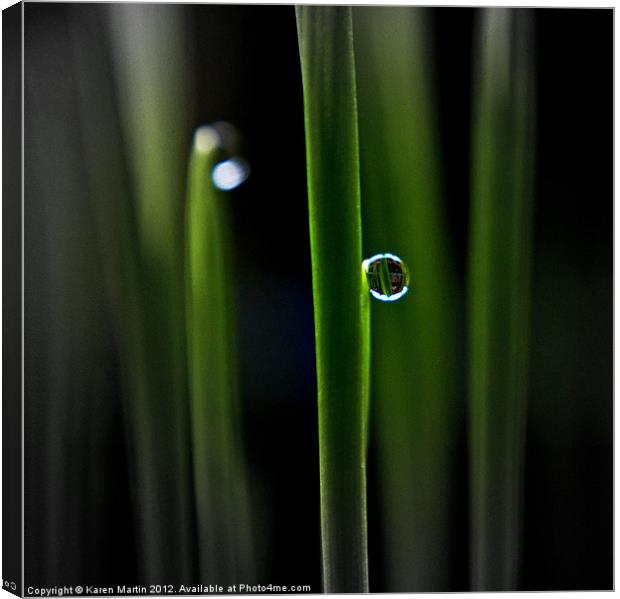 Reflections in a Dewdrop Canvas Print by Karen Martin