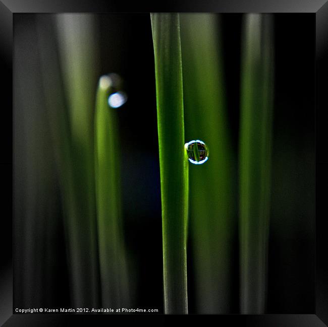 Reflections in a Dewdrop Framed Print by Karen Martin