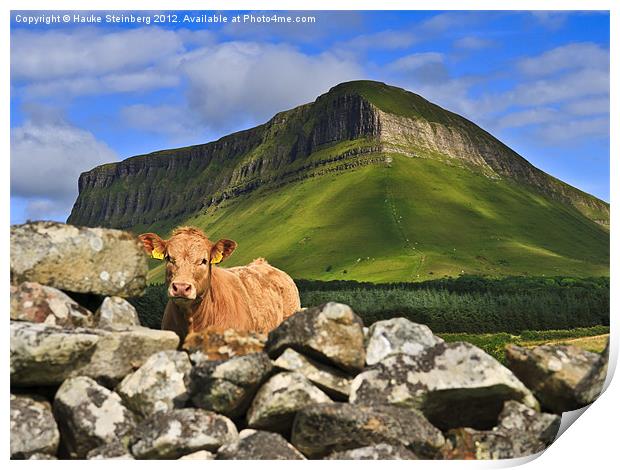Cow and Ben Bulben Print by Hauke Steinberg