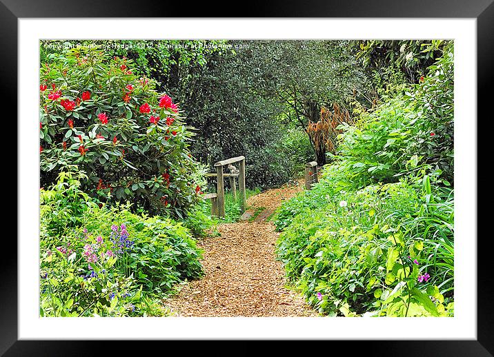 Pathway over the bridge Framed Mounted Print by Anthony Hedger