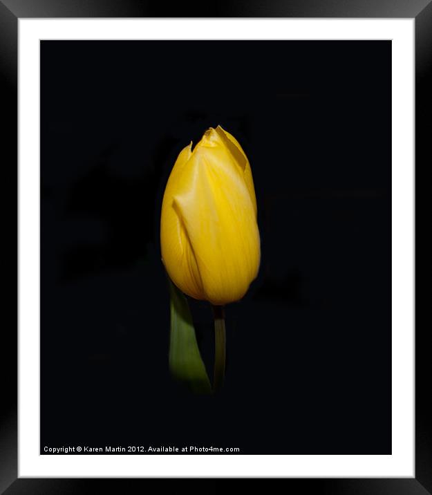 Yellow Tulip Framed Mounted Print by Karen Martin