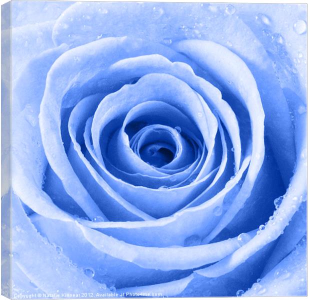 Blue Rose with Water Droplets Canvas Print by Natalie Kinnear