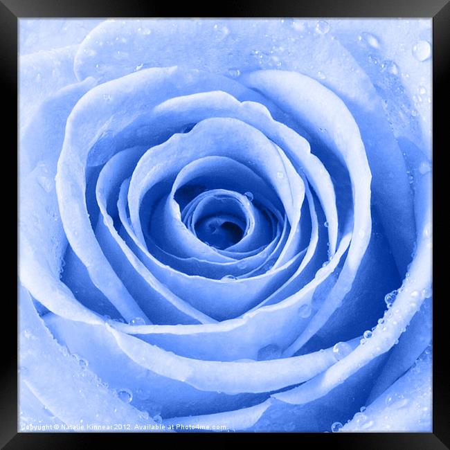 Blue Rose with Water Droplets Framed Print by Natalie Kinnear