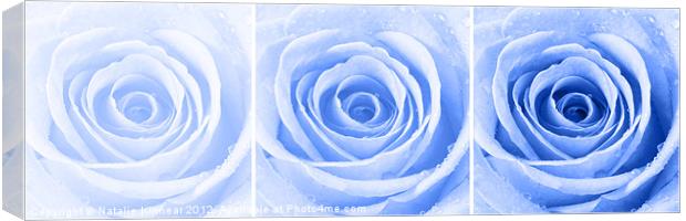 Blue Rose with Water Droplets Triptych Canvas Print by Natalie Kinnear