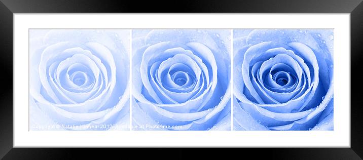 Blue Rose with Water Droplets Triptych Framed Mounted Print by Natalie Kinnear